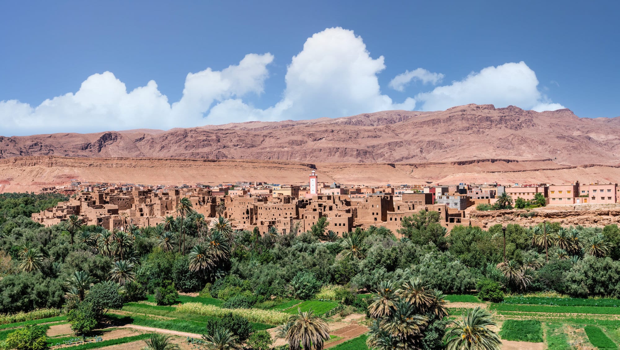 נווה המדבר סביב העיר טינע'יר בעמק הטודרה, מרוקו